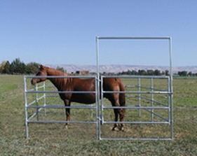 horse pen panels